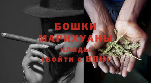 шишки Богданович
