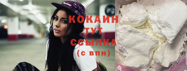 шишки Богданович