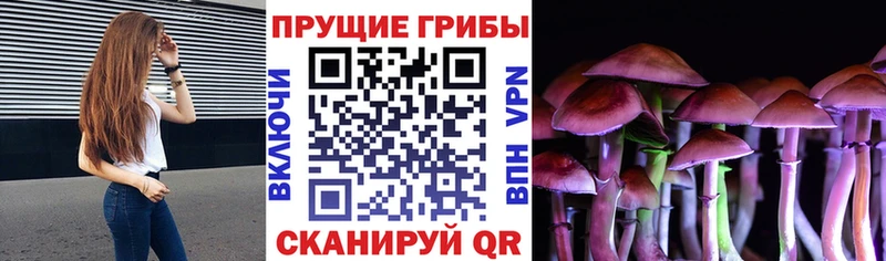 купить   Называевск  Псилоцибиновые грибы Magic Shrooms 